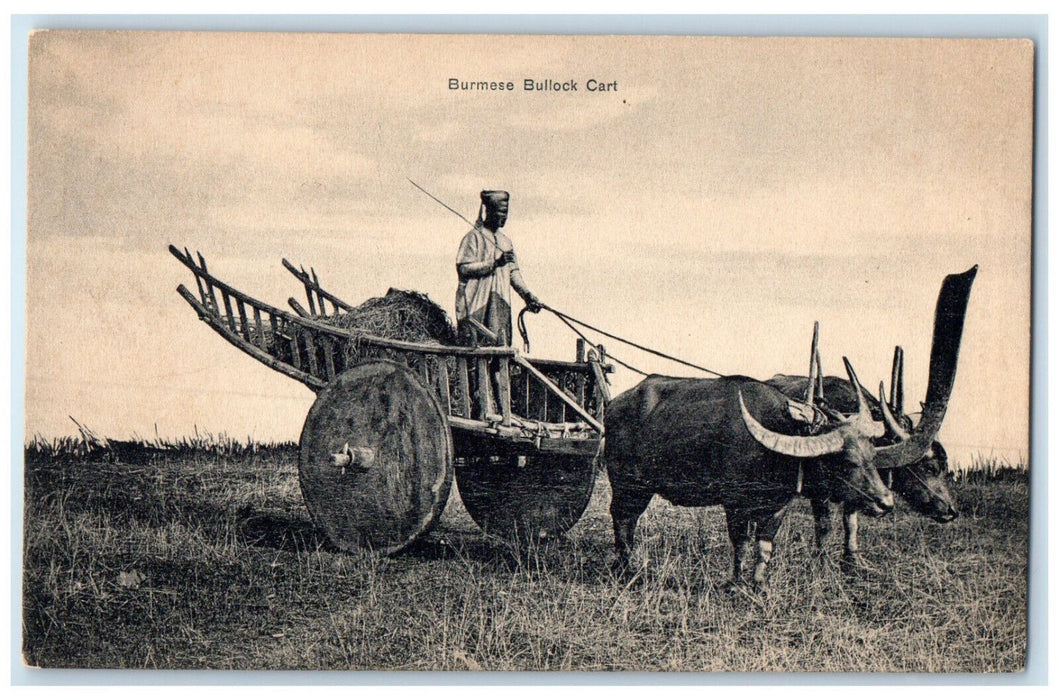 c1910 View of Burmese Bullock Cart Burma Myanmar Unposted Antique Postcard