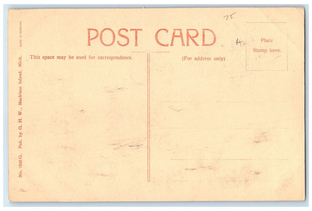 c1910 Scenic View Dogs War Guard Mackinac Island Michigan MI Vintage Postcard