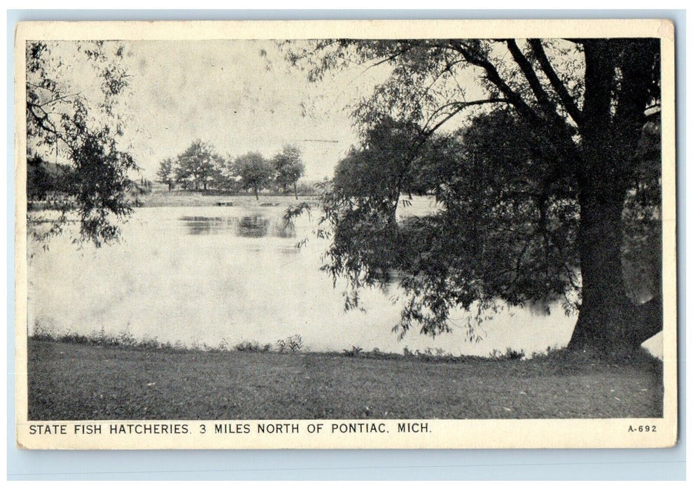 1935 State Fish Hatcheries Lake Trees Pontiac Michigan Antique Vintage Postcard
