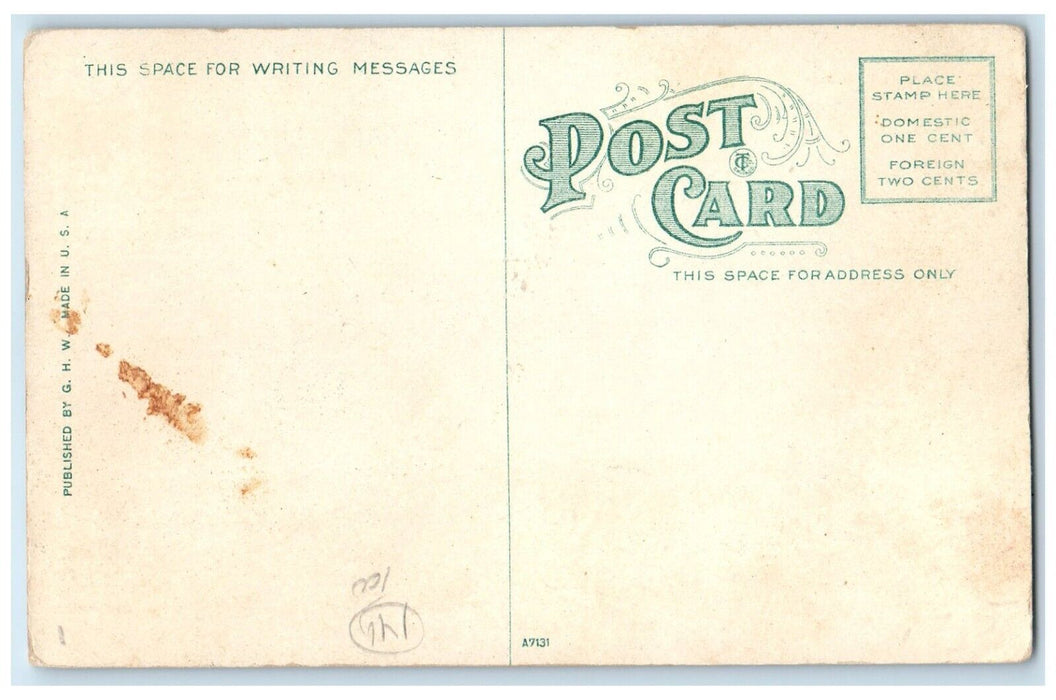 c1910 Scenic View On Guard Mackinac Island Michigan MI Unposted Vintage Postcard