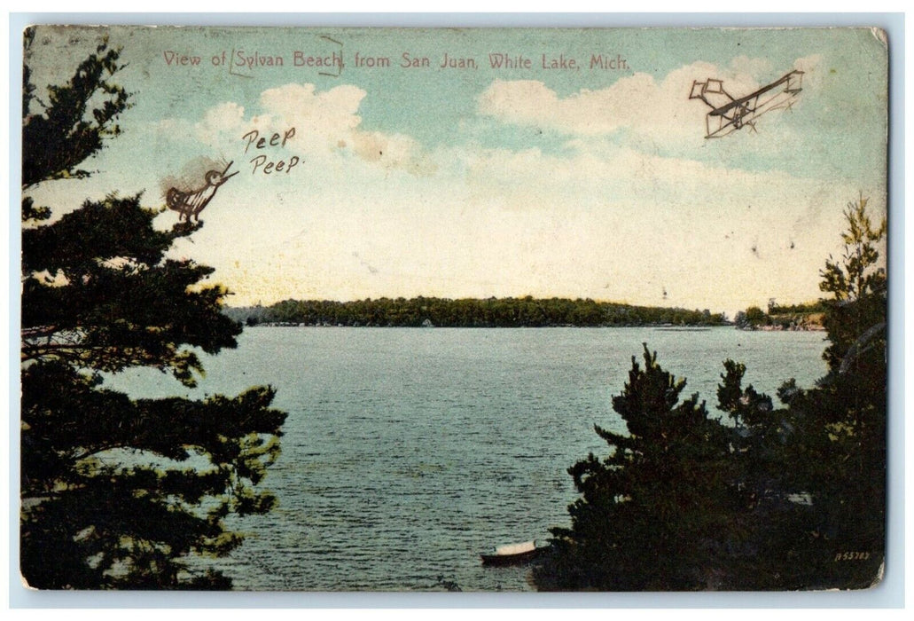 1910 View Sylvan Beach San Juan White Lake Michigan MI Vintage Antique Postcard