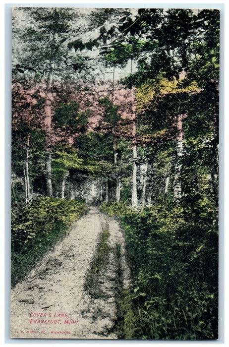 c1910 Scene View Lovers Lane Road Frankfort Michigan Unposted Antique Postcard