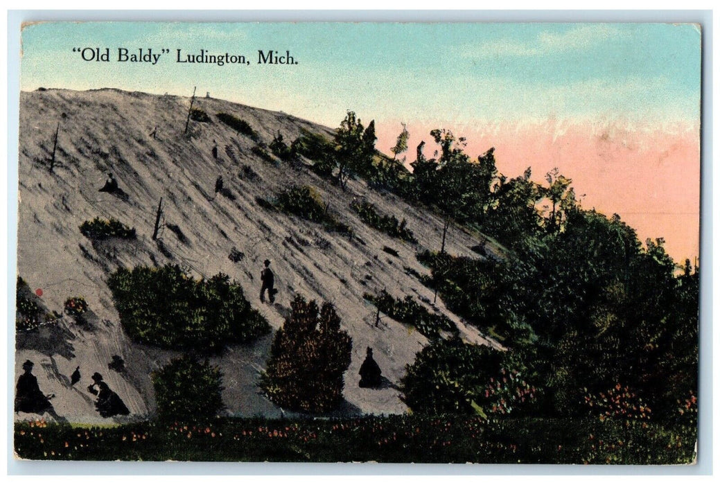 1910 Aerial View Old Baldy Mountain Trees Ludington Michigan MI Antique Postcard