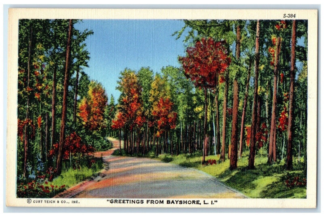 c1940 Greetings From Road Trees Bayshore Long Island New York Vintage Postcard