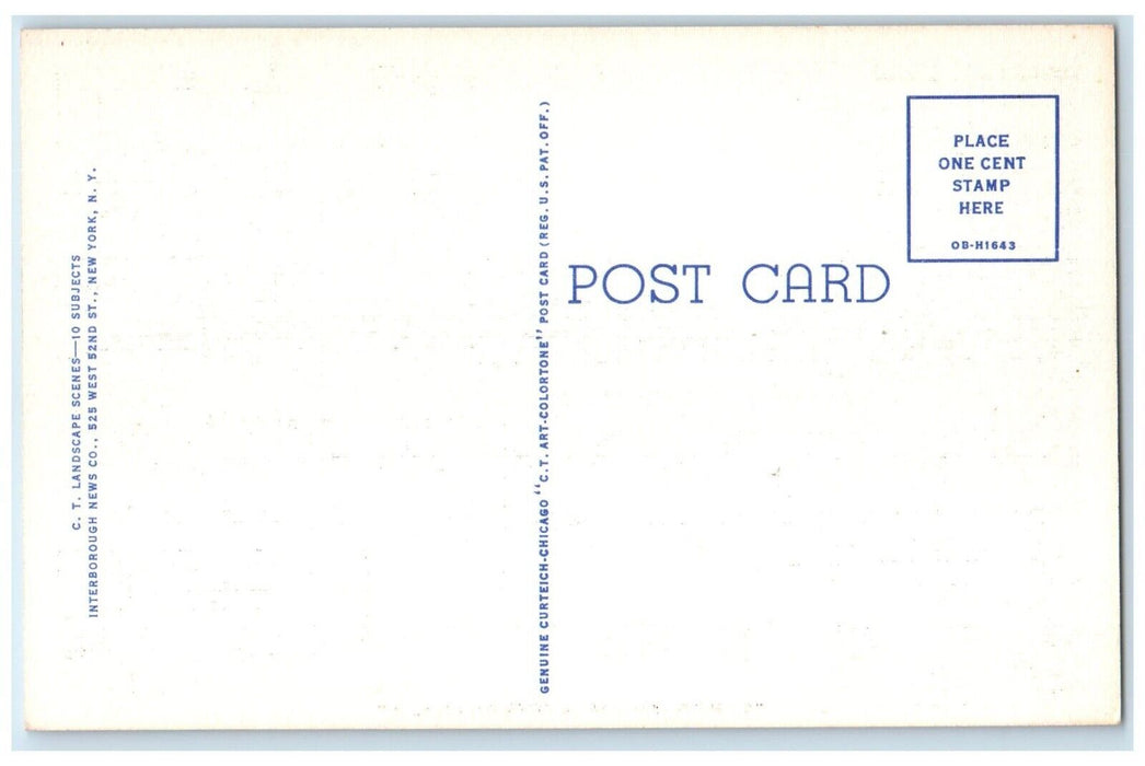 c1940 Greetings From Road Trees Bayshore Long Island New York Vintage Postcard