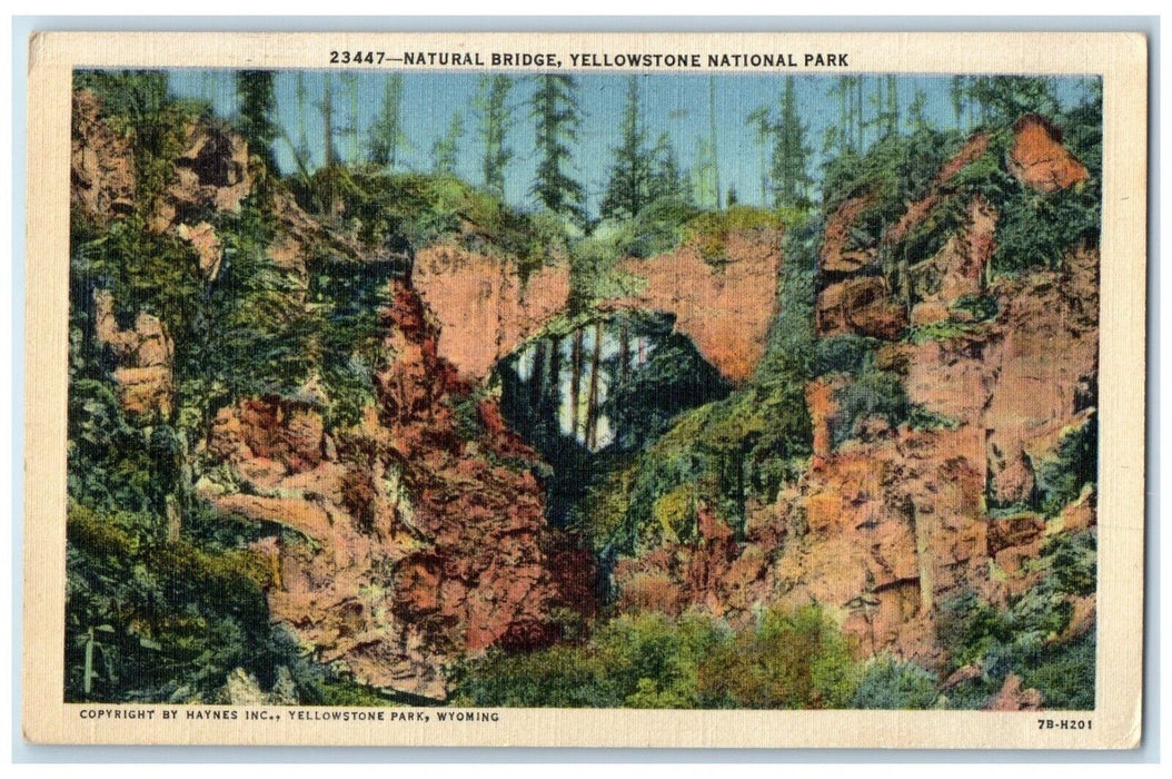 1949 Natural Bridge Cliff Yellowstone National Park Wyoming WY Vintage Postcard
