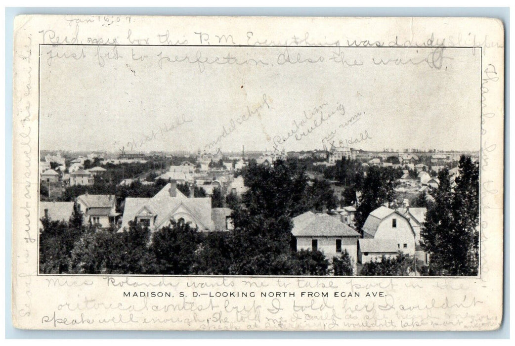1907 Looking North From Egan Avenue Exterior House Madison South Dakota Postcard