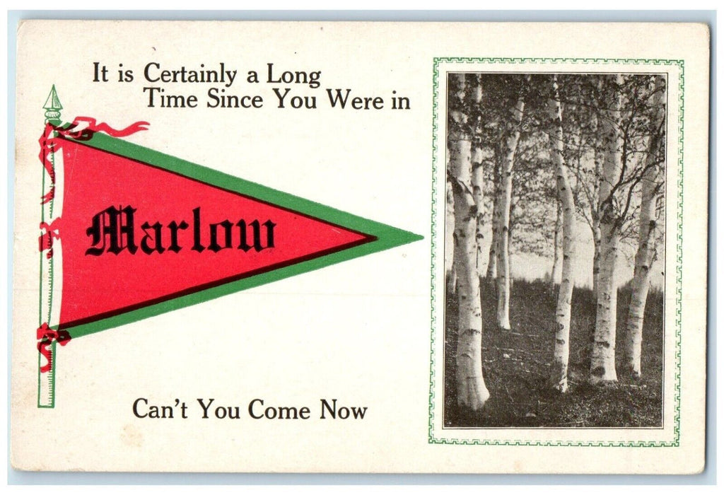 c1910 Certainly Long Time You Were Marlow South Dakota Vintage Antique Postcard