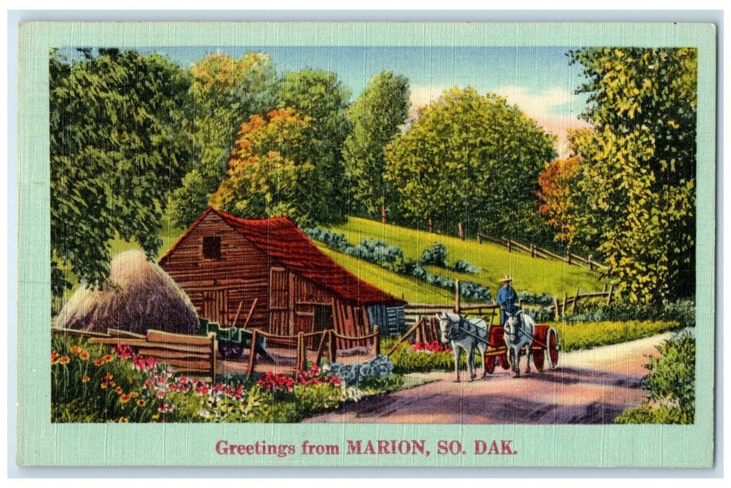 1951 Greetings From Horse Carriage Marion South Dakota Vintage Antique Postcard