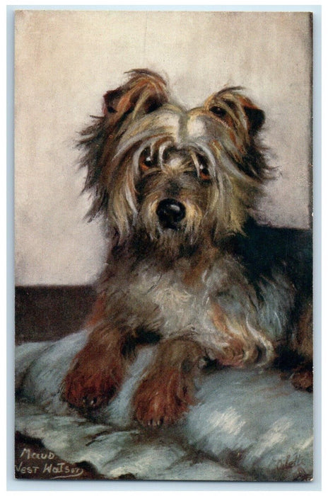 c1910's The Yorkshire Terrier Maud Puppy Dog Pet Animals Oilette Tuck's Postcard
