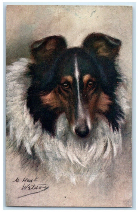 c1910's The Collie Dog Maud Puppy Dog Pet Animals Oilette Tuck's Postcard