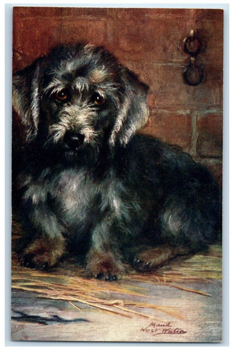 Dandie Dinmont Terrier Dog Maud Puppy Pet Dog Animals Oilette Tuck's Postcard