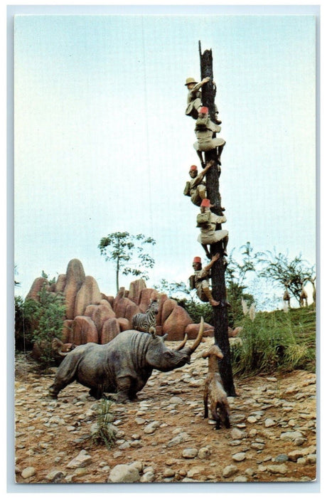 c1960 Trapped Safari Angry Rhinoceros Walt Disney World California CA Postcard