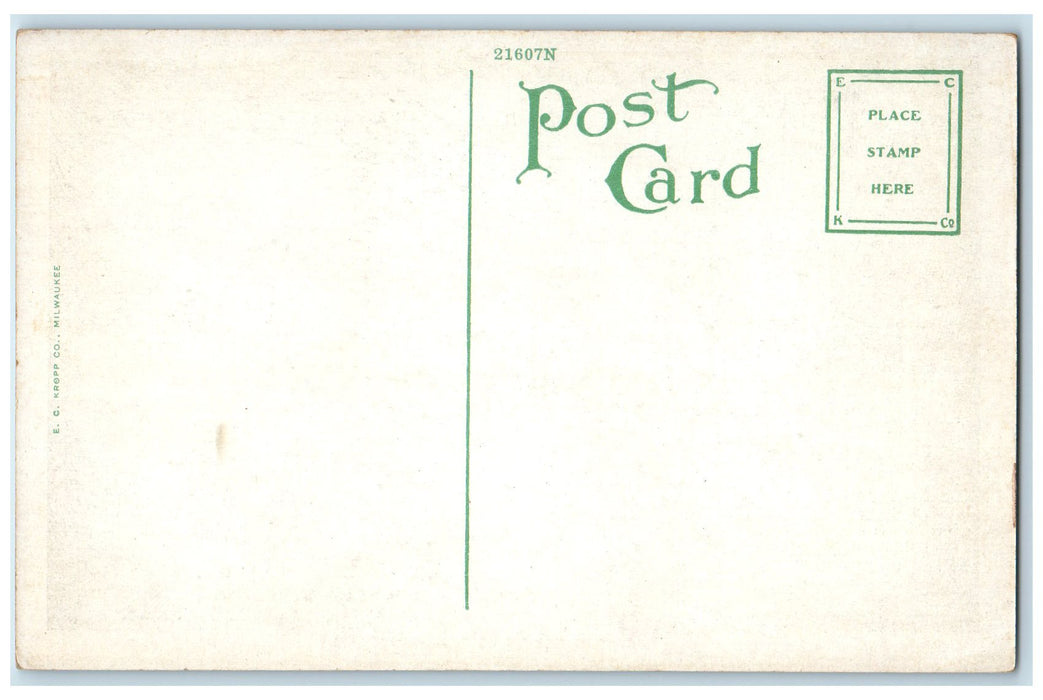 c1910's Lounge Of The De Soto Interior Scene Savannah Georgia GA Postcard