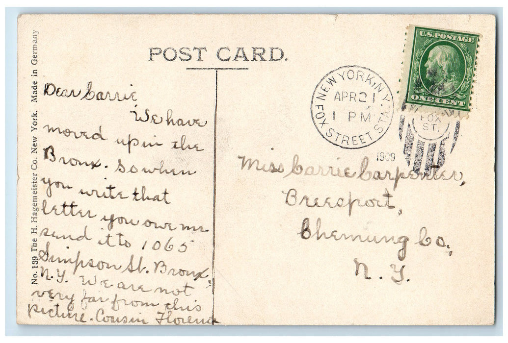 1909 Summer Shadows Bronx Park Scenic View New York NY Antique Postcard