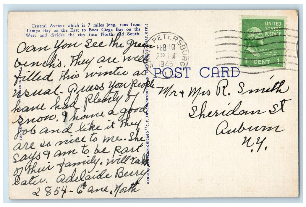 1945 Central Avenue The Sunshine City Kress St. Peterburg Florida FL Postcard