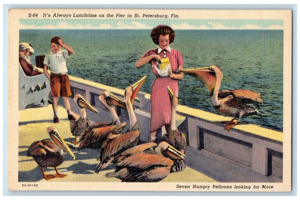 View Of Seven Hungry Pelicans Looking For More St. Peterburg Florida FL Postcard