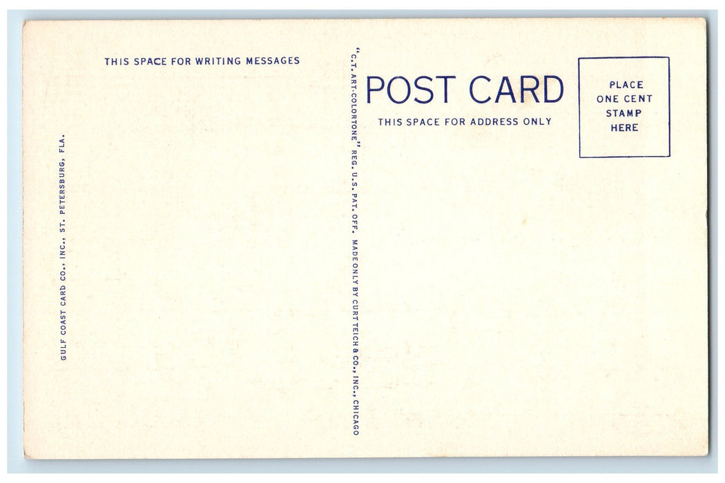 View Of Seven Hungry Pelicans Looking For More St. Peterburg Florida FL Postcard