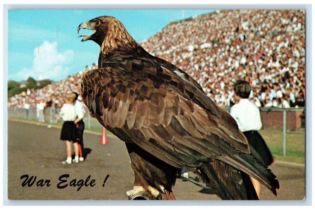 War Eagle The Mascot Auburn Tigers University Alabama AL Vintage Postcard