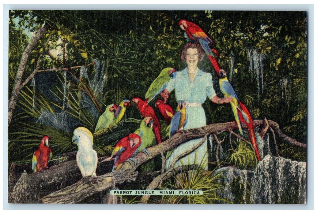View Of The Eternal Triangle Birds Parrot Jungle Miami Florida FL Postcard