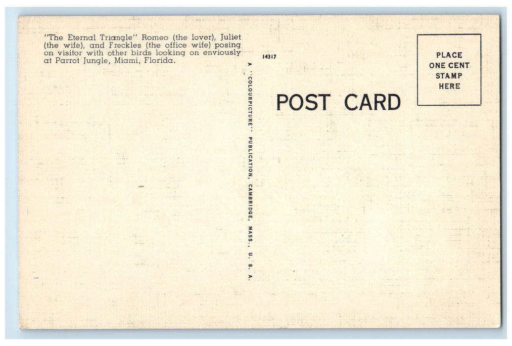 View Of The Eternal Triangle Birds Parrot Jungle Miami Florida FL Postcard