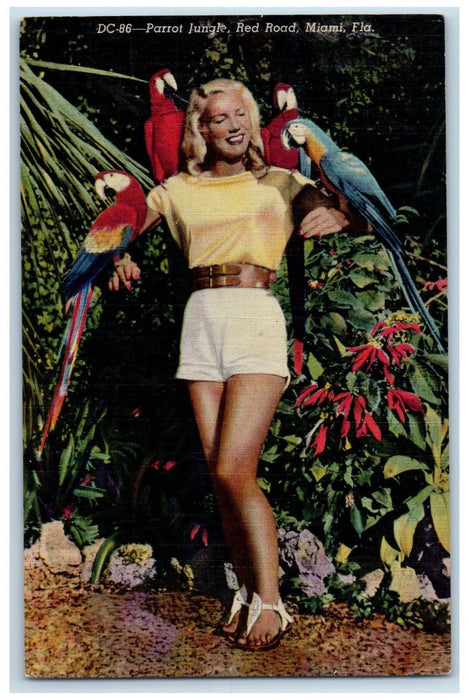 c1940's Beautiful Woman Map Parrot Jungle Birds Miami Florida FL Postcard