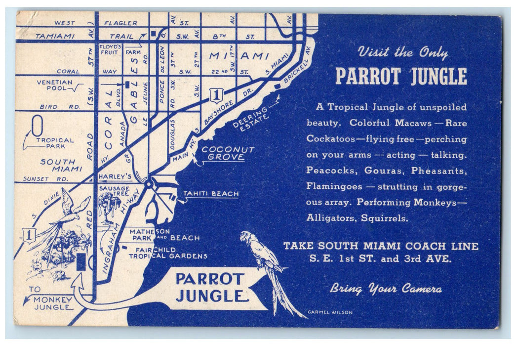 c1940's Beautiful Woman Map Parrot Jungle Birds Miami Florida FL Postcard