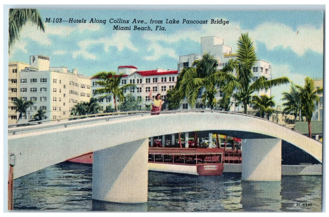 Hotels Along Collins Ave. Lake Pancoast Bridge Miami Beach Florida FL Postcard