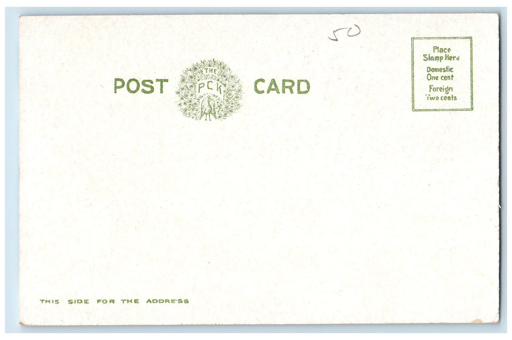 c1905's High School And Central Grammar School Auburn New York NY Postcard