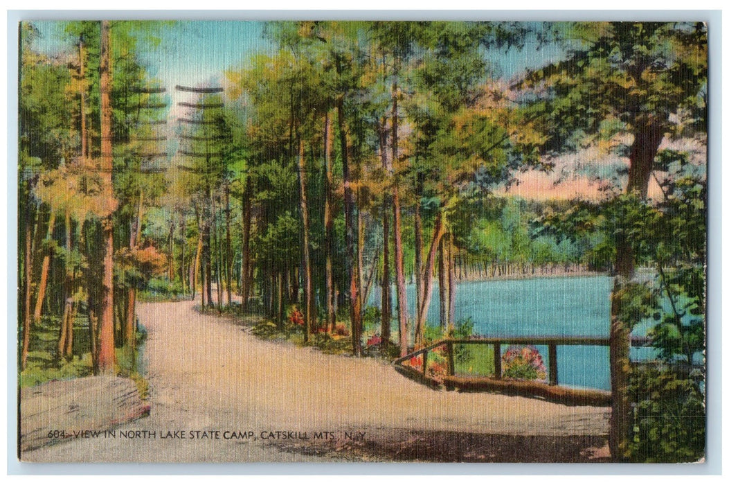 1958 View In North Lake State Camp Catskill Mts. Cairo New York NY Postcard