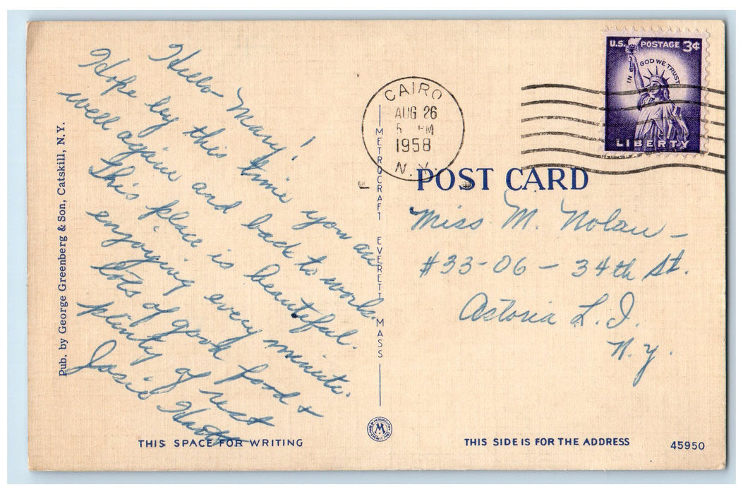 1958 View In North Lake State Camp Catskill Mts. Cairo New York NY Postcard