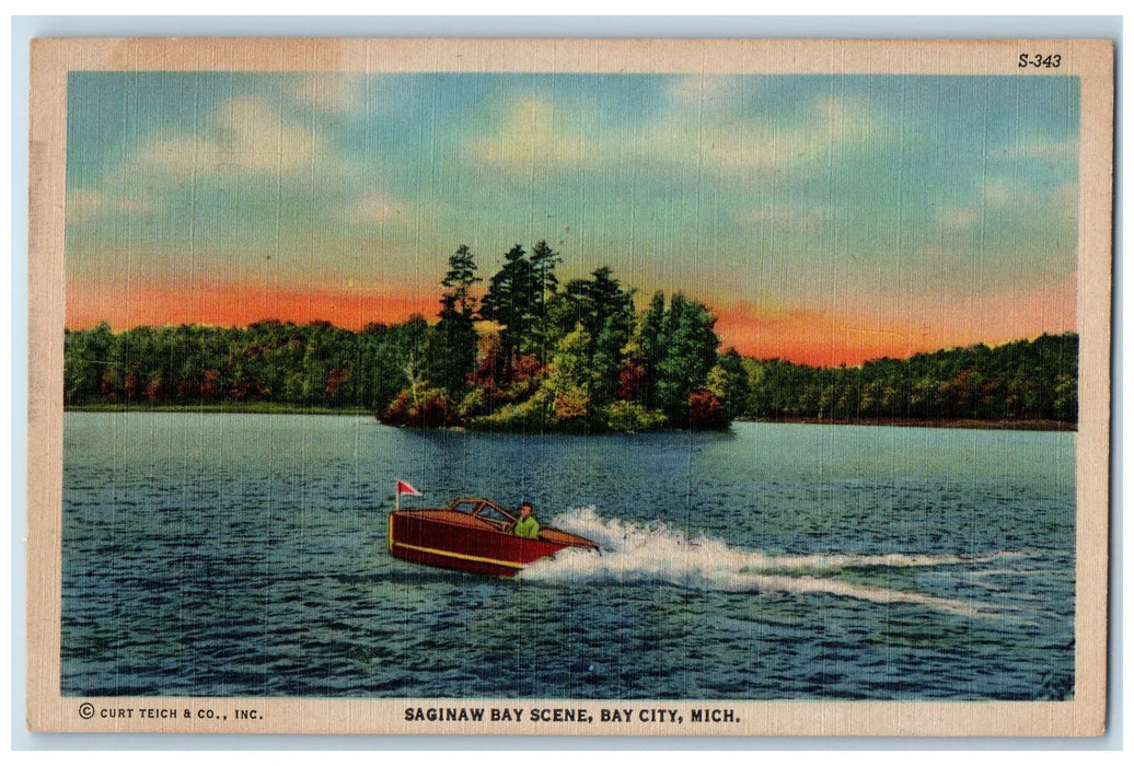 Saginaw Bay Scene Boat Nature Bay City Michigan MI Vintage Unposted Postcard