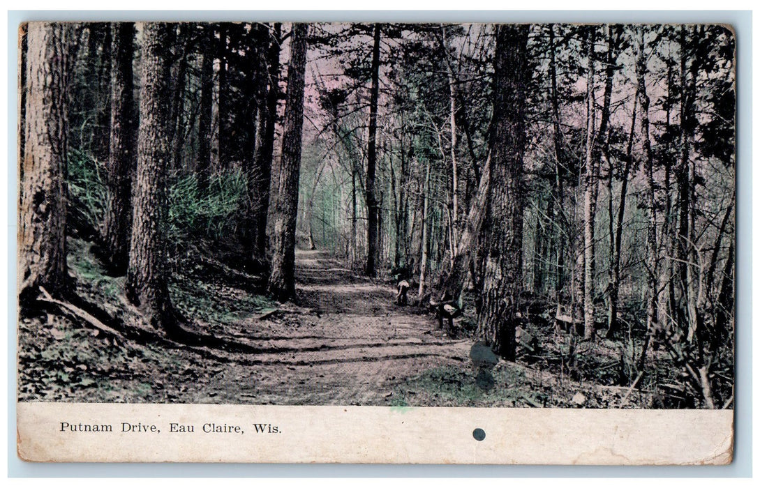 1909 Putnam Drive Dirt Road Trees Scene Eau Claire Wisconsin WI Antique Postcard