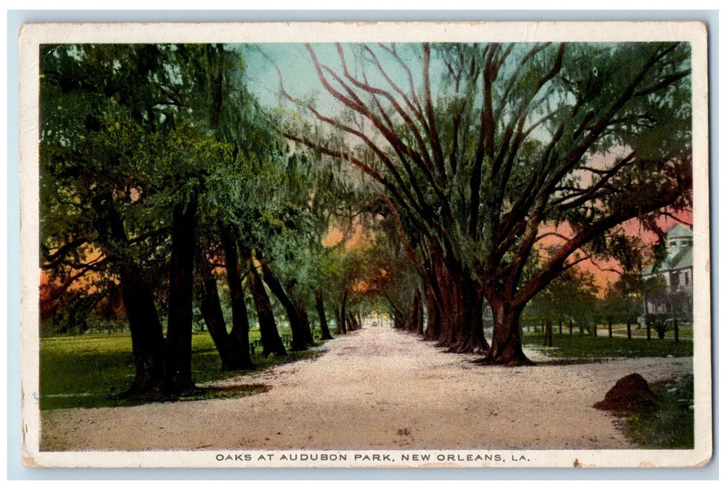 1915 Oaks At Audubon Park Nature Scene New Orleans Louisiana LA Antique Postcard