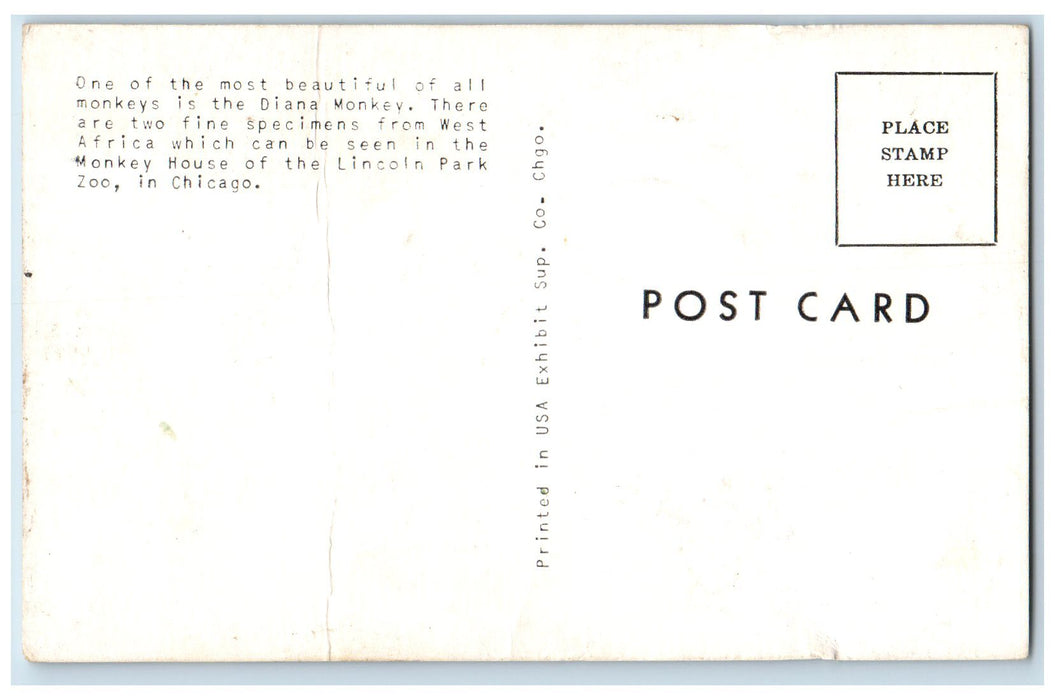 Diana Monkey House Lincoln Park Zoom Chicago Illinois IL Vintage Postcard