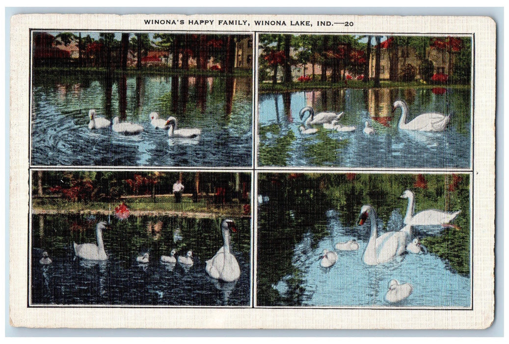 Winona's Happy Family Swan Scene Winona Lake Indiana IN Multiview Postcard