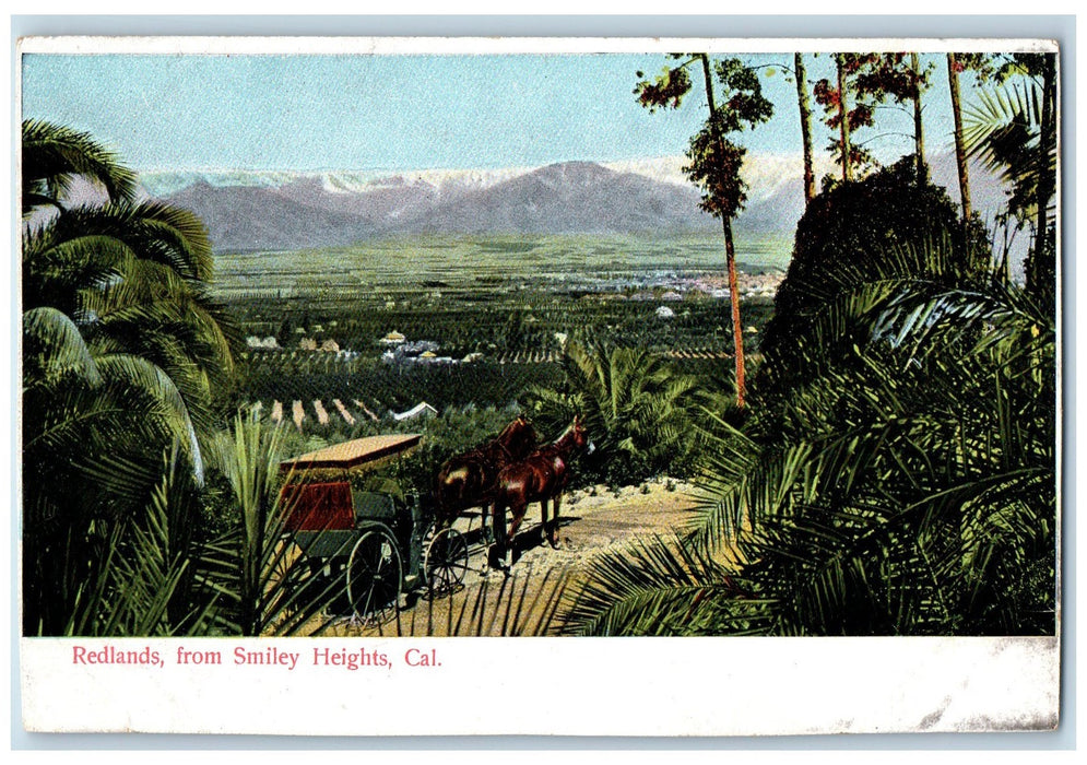 Redlands From Smiley Heights Horse Carriage Nature Scene California CA Postcard