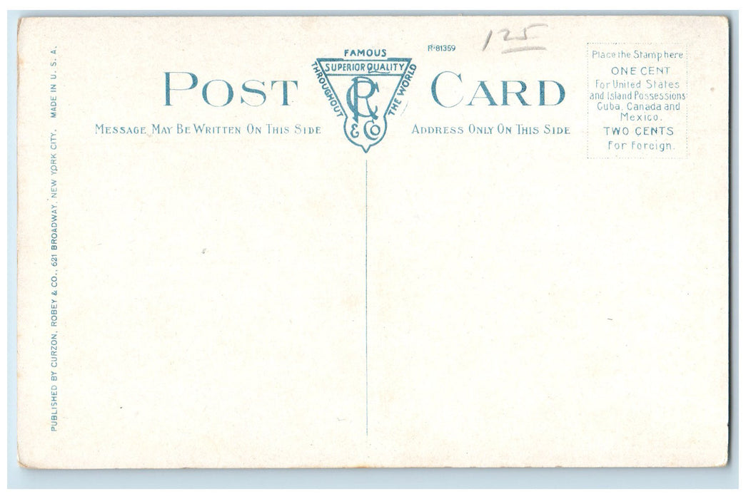 c1910's General View Of The Wartburg Orphan's Farm School M.T Vernon NY Postcard