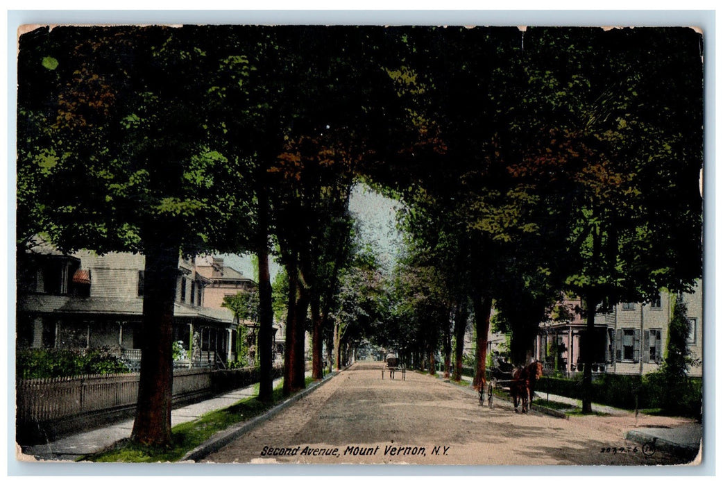 1910 Second Avenue Tree-lined horse Carriage Mount Vernon New York NY Postcard