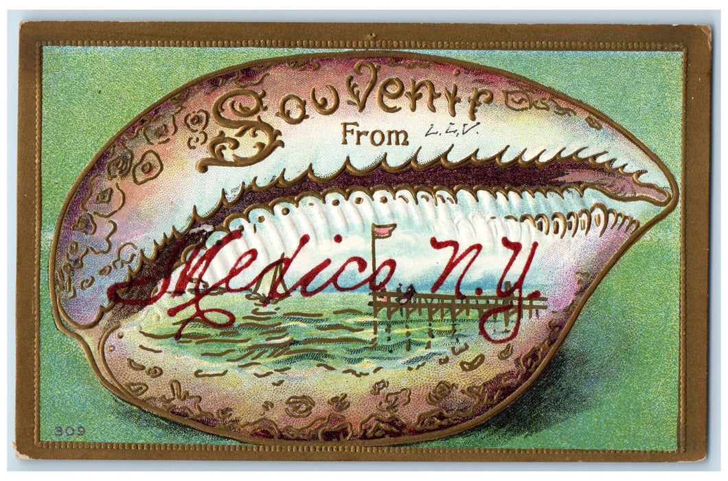 c1910's Souvenir From Mexico New York Maple View NY Embossed Seashell Postcard