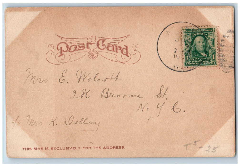 c1905 View Of The Catskills Stony Clove New York NY Antique Posted Postcard