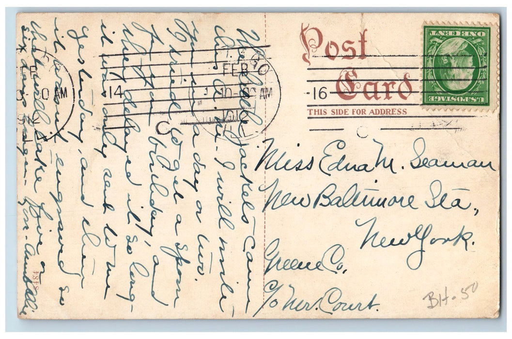 1912 Weiland's Greenhouse Garden Flowers Scene New Castle Indiana IN Postcard