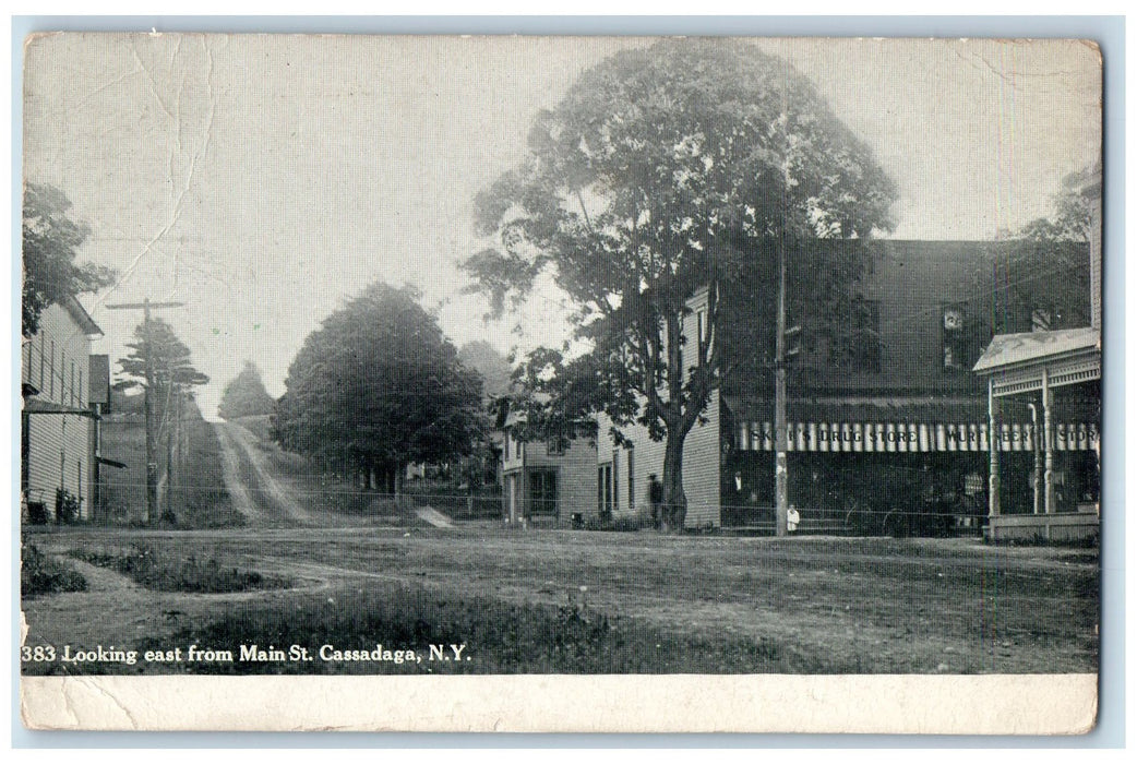 1909 Looking East From Main Street Dirt Road View Cassadaga New York NY Postcard
