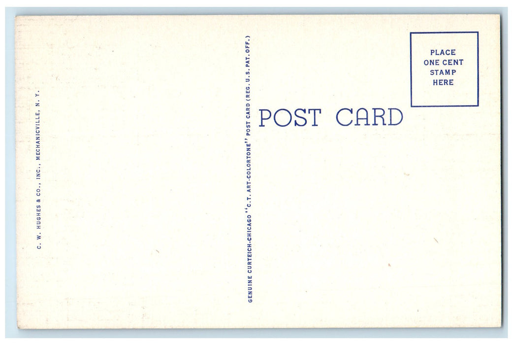 West Shore Indian Lake Adirondack MTS. New York NY, Boat Nature View Postcard