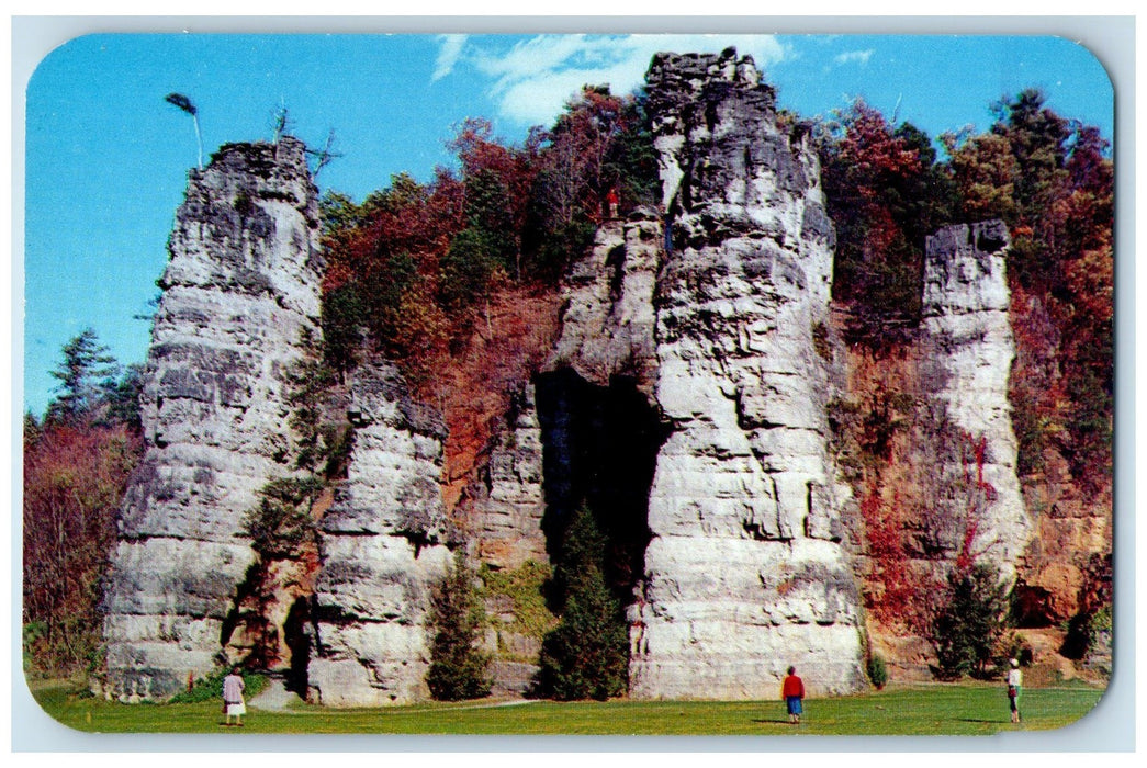 Natural Chimney's Nature Unique Creation Mt. Solon Virginia VA Vintage Postcard