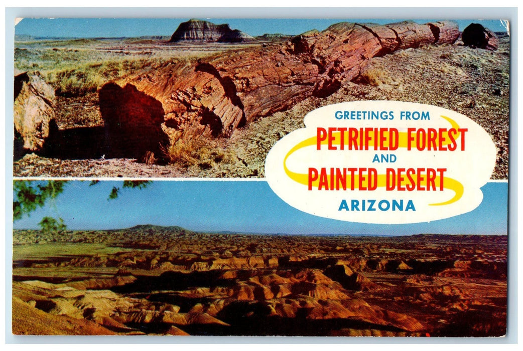 1960 Greetings From Petrified Forest And Painted Desert Holbrook AZ Postcard