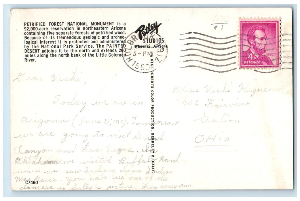 1960 Greetings From Petrified Forest And Painted Desert Holbrook AZ Postcard
