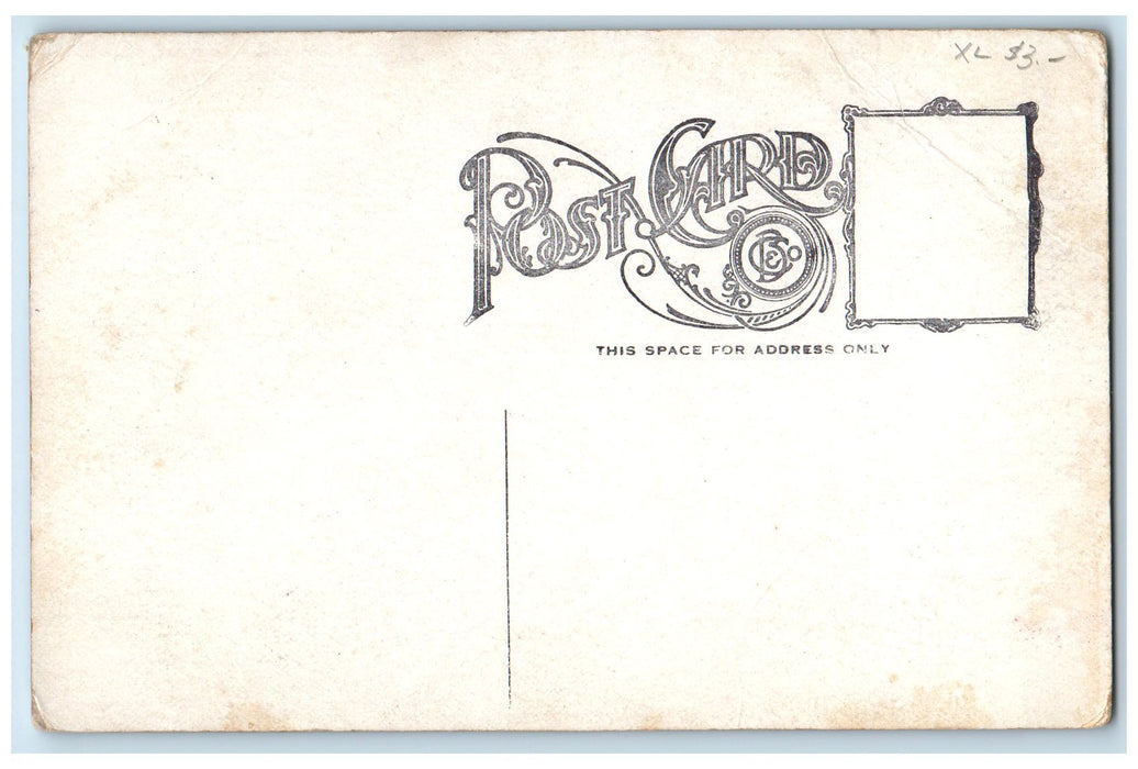 c1910's Scenic View Of Hotel Beechwood Paw Paw Lake Michigan MI Antique Postcard