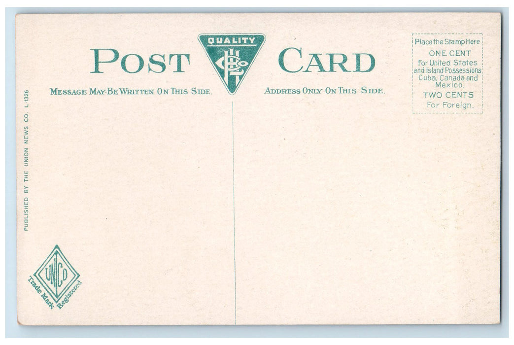 c1910's State Line Tunnel Berkshire Hills Massachusetts MA Antique Postcard