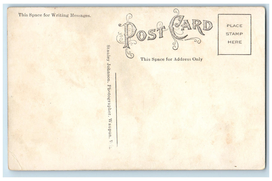 I Am Not At Auburn New York NY, But Not In The Pen Pig Animal Scene  Postcard